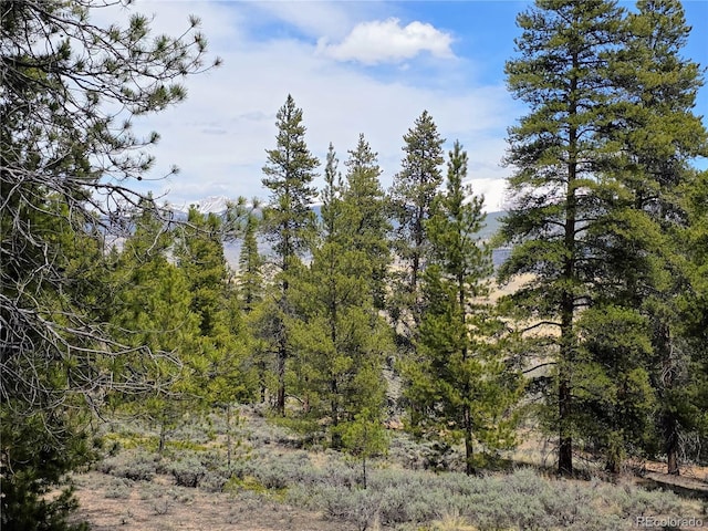 160 Ponderosa Dr, Twin Lakes, CO 81251 - photo 16