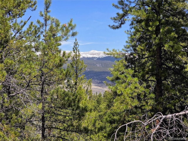 160 Ponderosa Dr, Twin Lakes, CO 81251 - photo 18