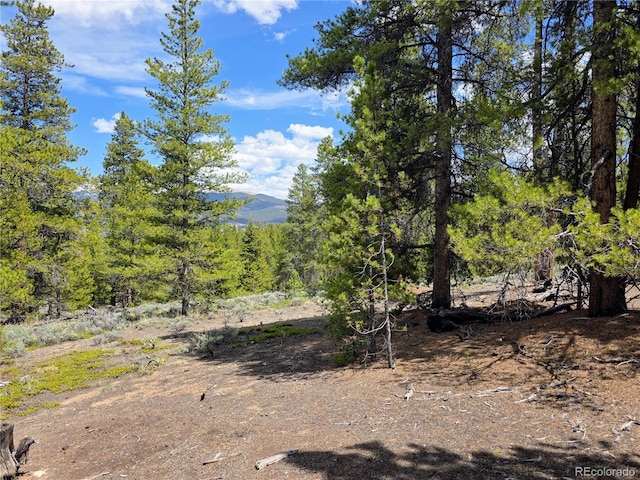 160 Ponderosa Dr, Twin Lakes, CO 81251 - photo 20