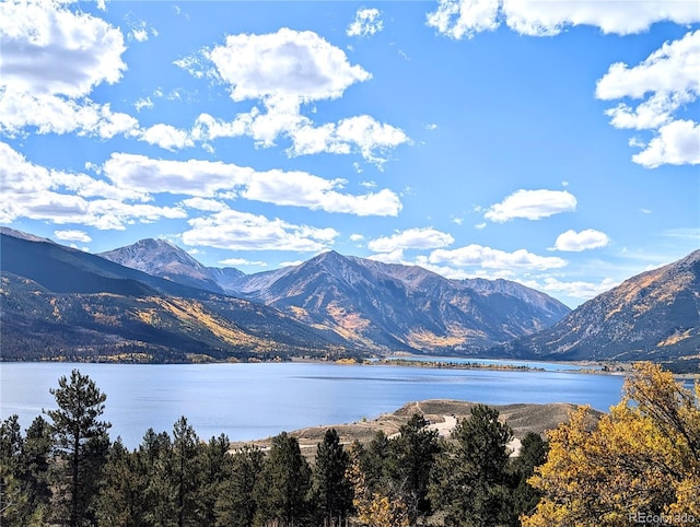 160 Ponderosa Dr, Twin Lakes, CO 81251 - photo 21