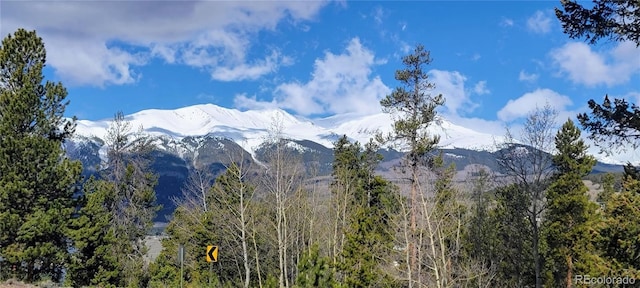 160 Ponderosa Dr, Twin Lakes, CO 81251 - photo 33