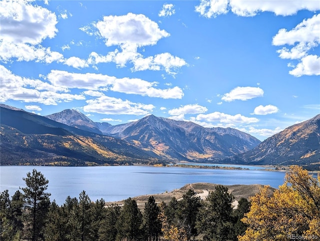 160 Ponderosa Dr, Twin Lakes, CO 81251 - photo 37