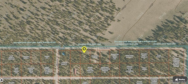 160 Ponderosa Dr, Twin Lakes, CO 81251 - photo 38