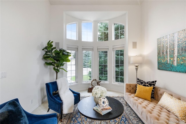 sitting room featuring carpet and a high ceiling