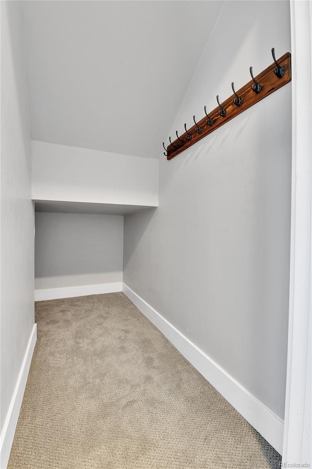 spacious closet featuring carpet flooring and vaulted ceiling