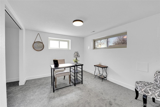 office with carpet floors and a healthy amount of sunlight