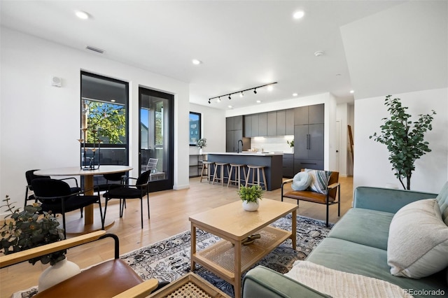 living room featuring sink and light hardwood / wood-style flooring