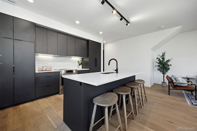 kitchen featuring stainless steel range, a center island with sink, light hardwood / wood-style flooring, and sink