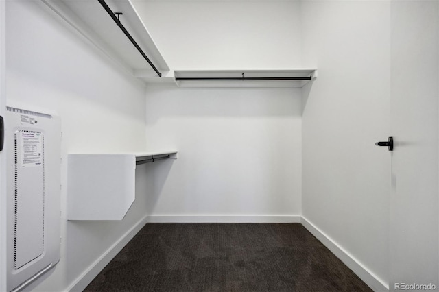 1601 Park Ave Unit 216, Denver, CO 80218 - spacious closet with dark colored carpet