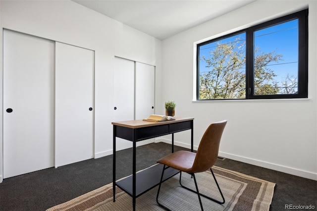 1601 Park Ave Unit 216, Denver, CO 80218 - view of carpeted home office