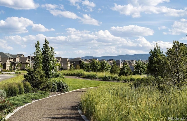 8631 Hotchkiss St, Littleton, CO 80125 - mountain view featuring nearby suburban area