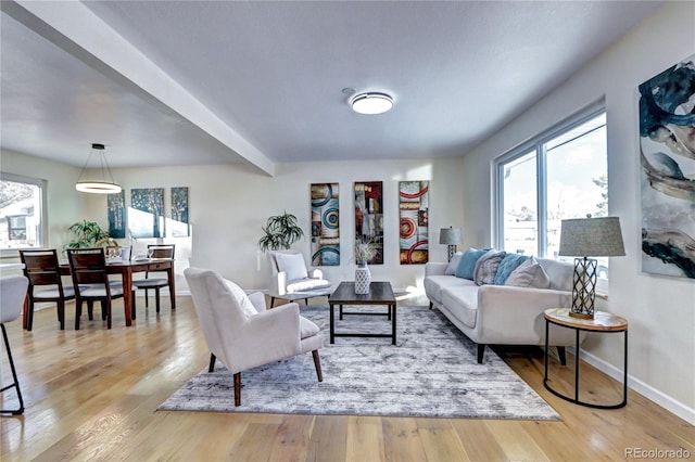 living room with light hardwood / wood-style flooring