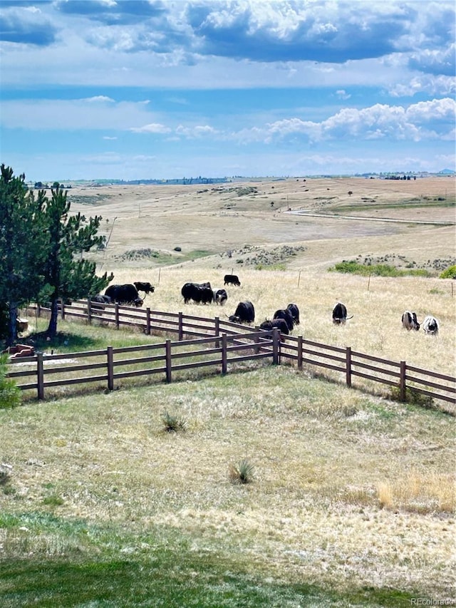 view of yard featuring a rural view