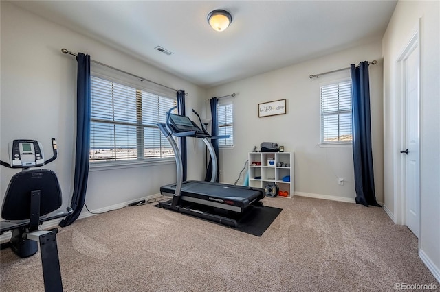 workout area featuring carpet