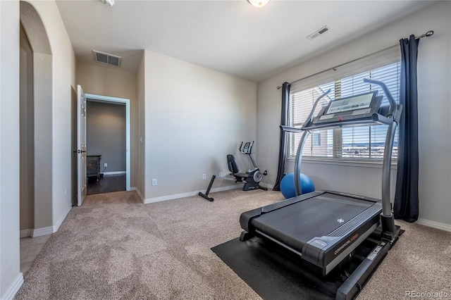 exercise area featuring carpet floors