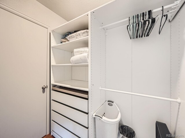 1370 Sandstone Dr Unit 12, Vail, CO 81657 - view of walk in closet
