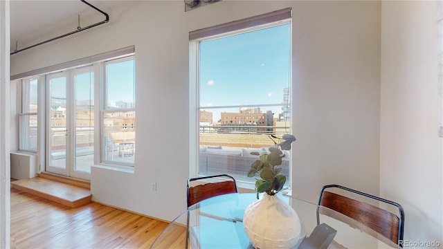 dining area featuring plenty of natural light and wood-type flooring