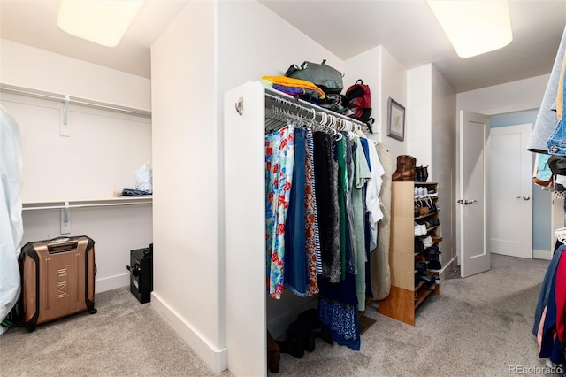 spacious closet featuring carpet flooring