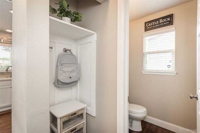3252 Fernleaf Ct, Castle Rock, CO 80109 - photo 20