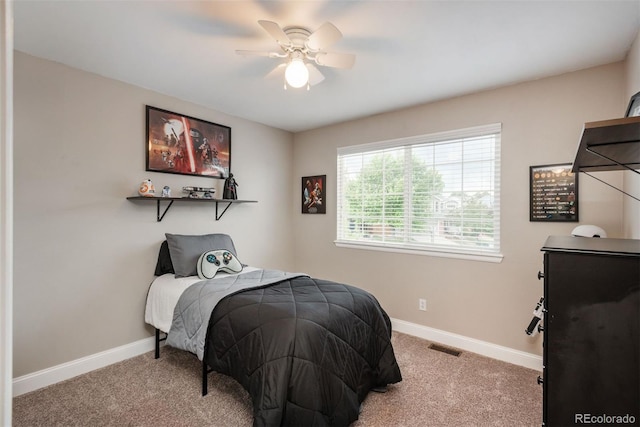 3252 Fernleaf Ct, Castle Rock, CO 80109 - photo 27