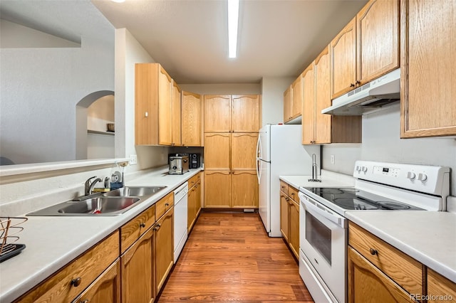 14221 E 1st Dr Unit 303, Aurora, CO 80011 - kitchen with white appliances, under cabinet range hood, a sink, wood finished floors, and light countertops