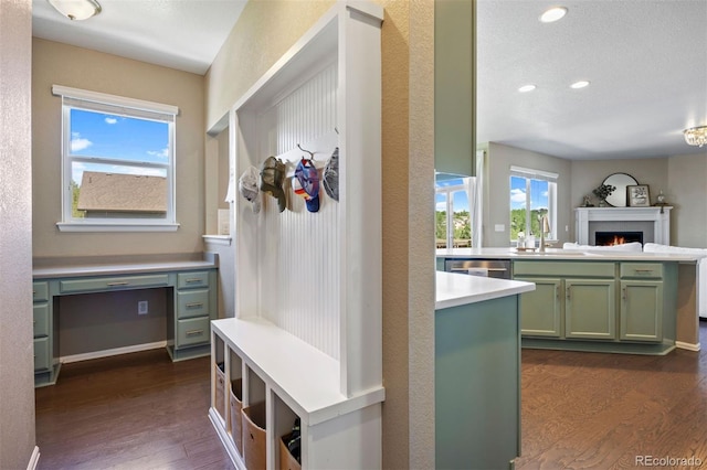 20855 Park Hollow Dr, Parker, CO 80138 - mudroom featuring a sink, dark wood-style flooring, a lit fireplace, recessed lighting, and baseboards