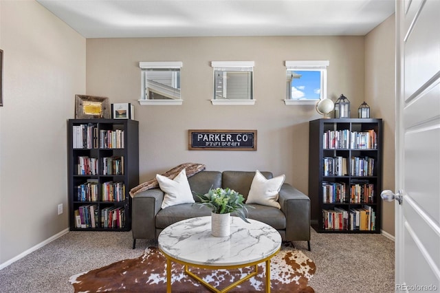 20855 Park Hollow Dr, Parker, CO 80138 - living area featuring carpet floors and baseboards
