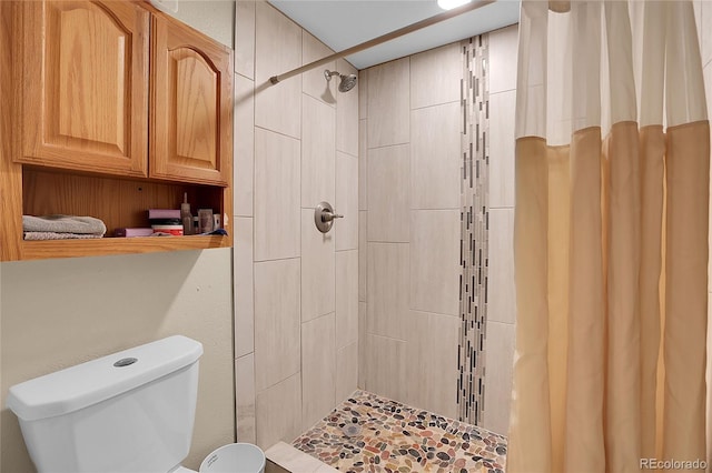 724 County Road 37, Brighton, CO 80603 - bathroom featuring toilet and tiled shower
