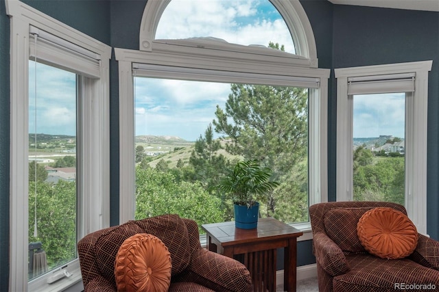 171 October Pl, Castle Rock, CO 80104 - photo 23