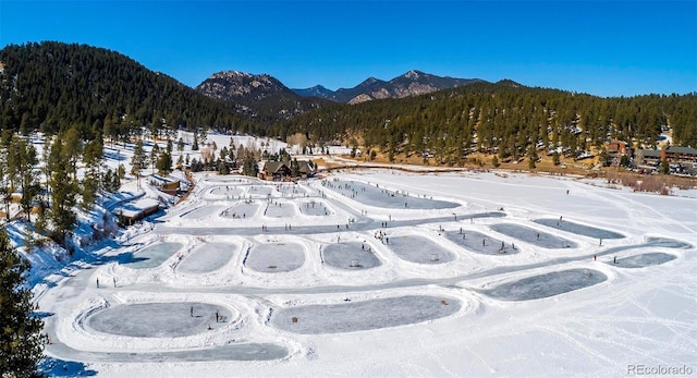4805 S Blue Spruce Rd, Evergreen, CO 80439 - view of mountain background with a heavily wooded area