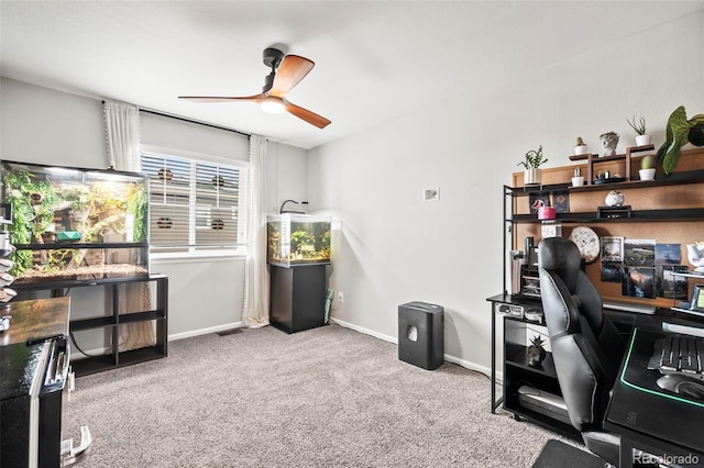 carpeted office featuring ceiling fan