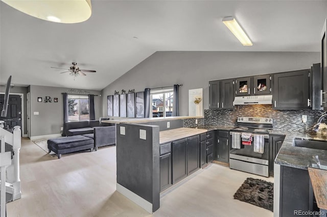 kitchen featuring a wealth of natural light, stainless steel electric range oven, sink, and light wood-type flooring