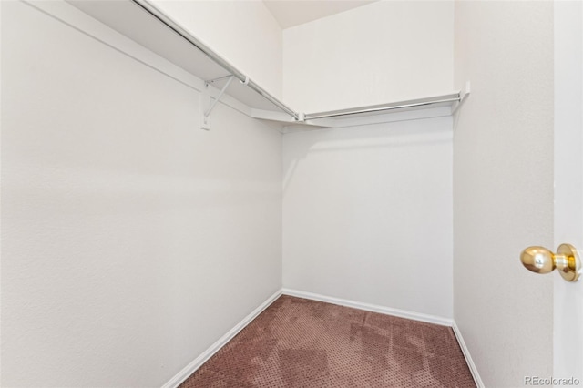 spacious closet with carpet floors