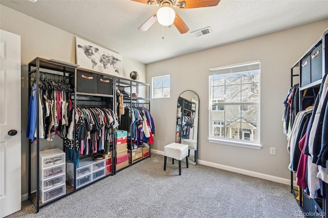 walk in closet with ceiling fan, carpet flooring, and visible vents