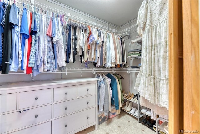 58 Rogers Ct, Golden, CO 80401 - view of spacious closet