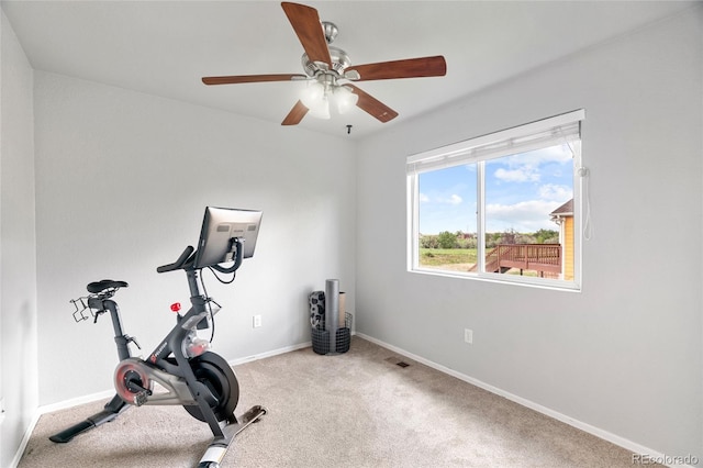 8617 W 17th Street Dr, Greeley, CO 80634 - workout area with ceiling fan, carpet floors, and baseboards