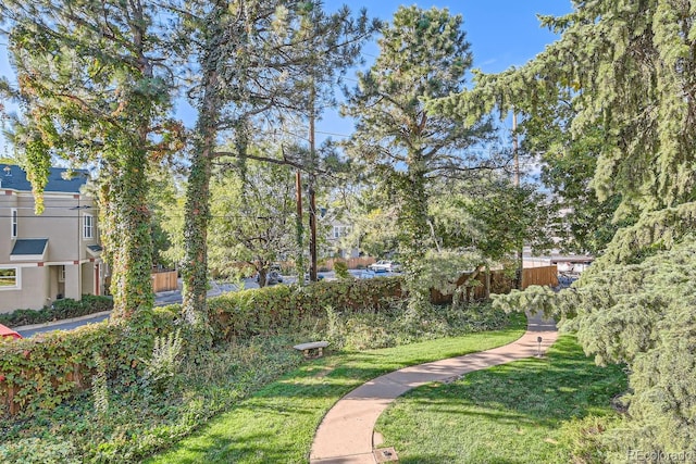 view of community with a lawn
