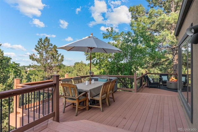 318 Defrance Ct, Golden, CO 80401 - photo 15