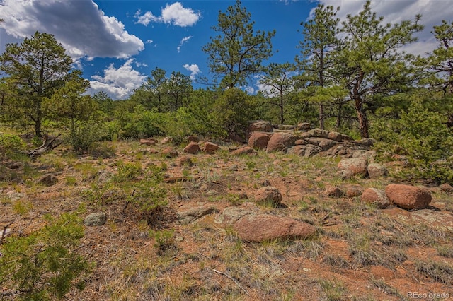 15505 S Cuerno Verde Vw, Colorado Springs, CO 80926 - photo 5