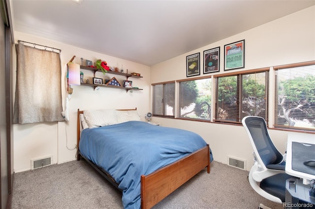 3650 Chimayo Rd, Littleton, CO 80123 - view of carpeted bedroom