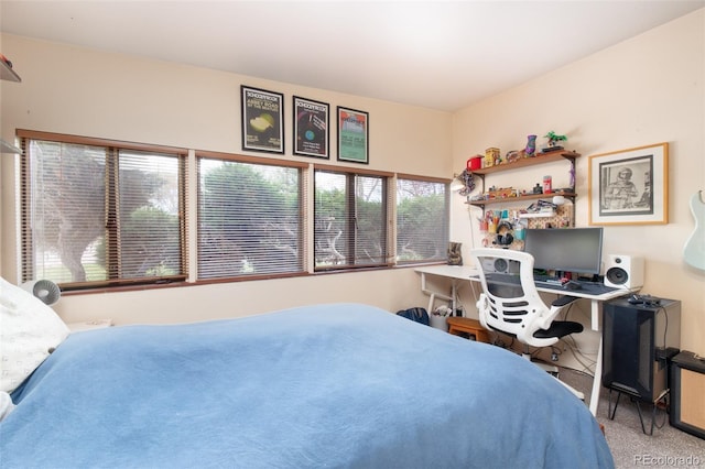 3650 Chimayo Rd, Littleton, CO 80123 - view of carpeted bedroom