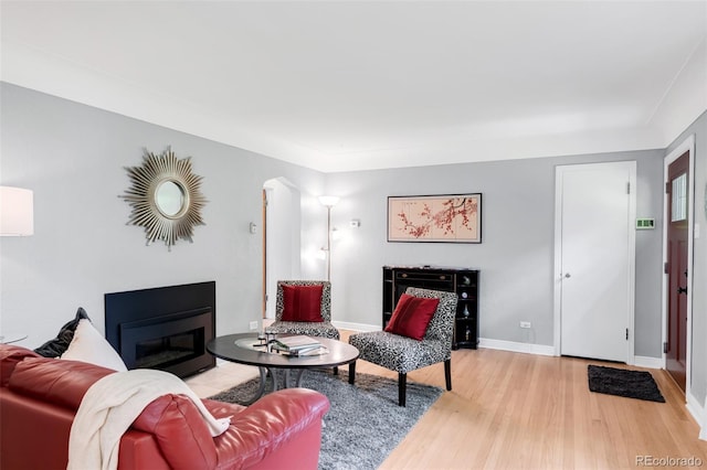 1185 Glencoe St, Denver, CO 80220 - living room featuring light wood-style flooring, a glass covered fireplace, and arched walkways