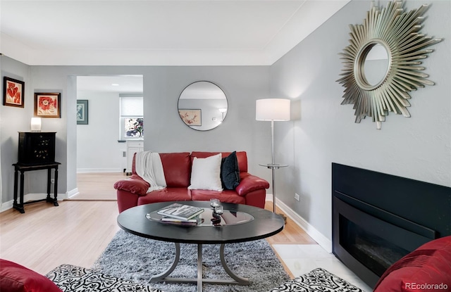 1185 Glencoe St, Denver, CO 80220 - living room featuring light wood-style flooring and a glass covered fireplace