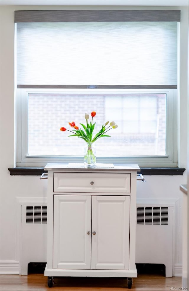 1185 Glencoe St, Denver, CO 80220 - detailed view of radiator heating unit and wood finished floors