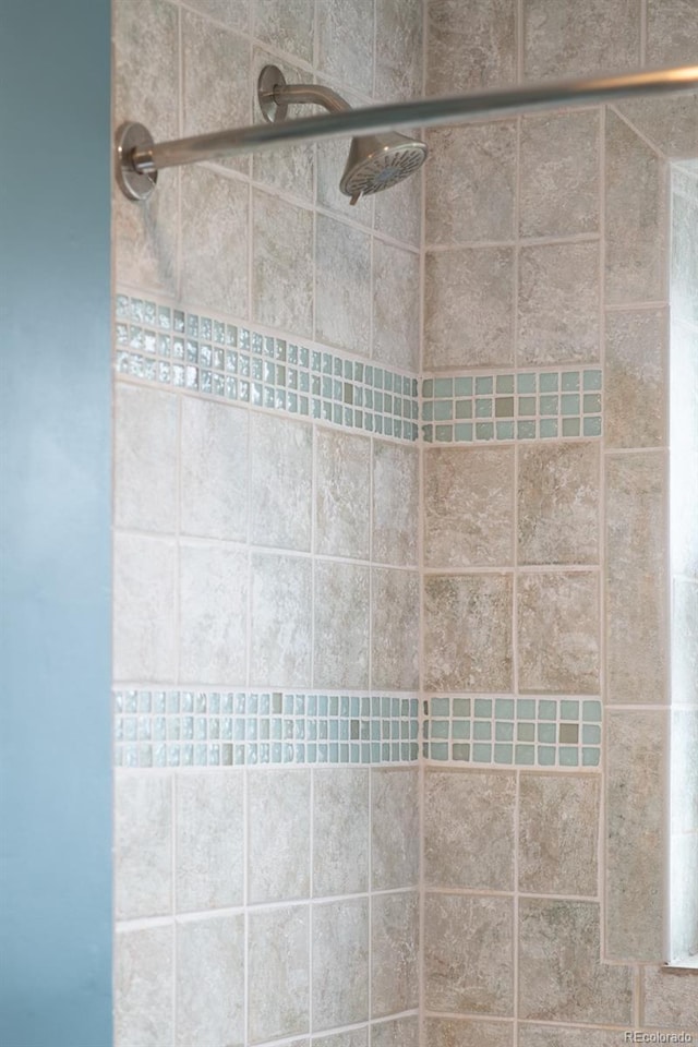 1185 Glencoe St, Denver, CO 80220 - bathroom view of a tile shower
