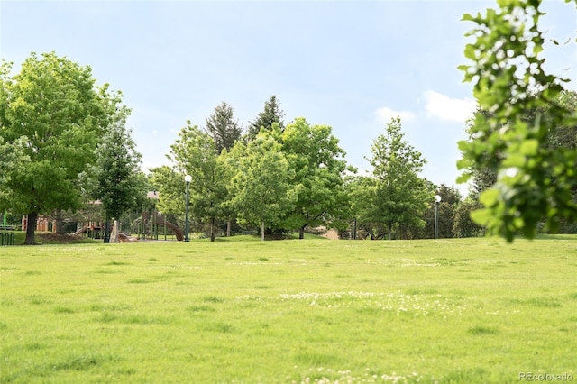 1185 Glencoe St, Denver, CO 80220 - view of grassy yard
