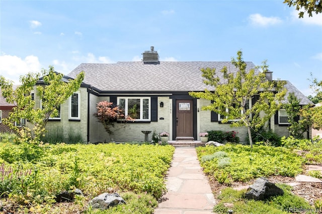 1185 Glencoe St, Denver, CO 80220 - view of front of home with roof with shingles, a chimney, and brick siding