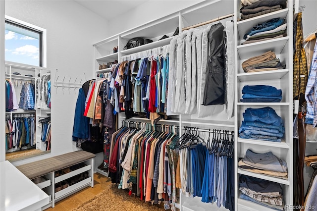 spacious closet featuring wood-type flooring