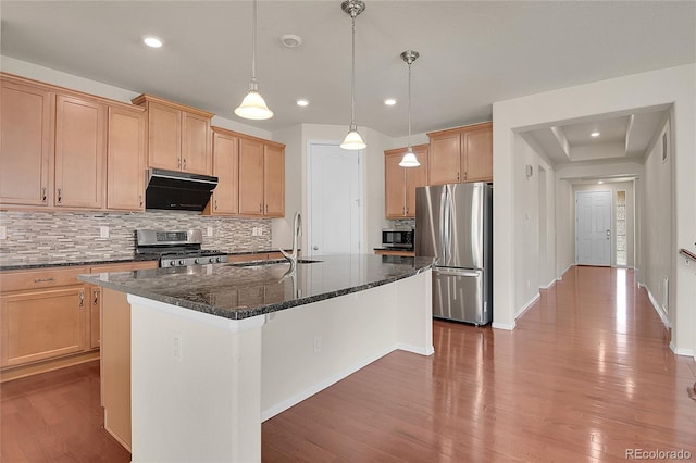 16076 Columbine Pl, Thornton, CO 80602 - kitchen with appliances with stainless steel finishes, a sink, decorative backsplash, dark wood-style floors, and an island with sink