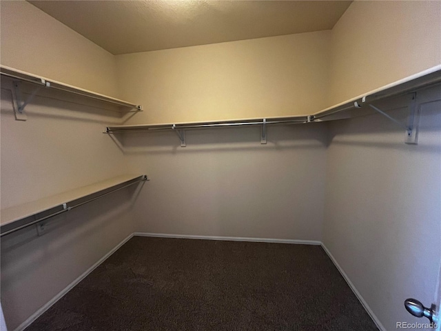 16076 Columbine Pl, Thornton, CO 80602 - photo 19
